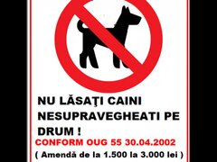 Placuta nu lasati caini nesupravegheati pe drum